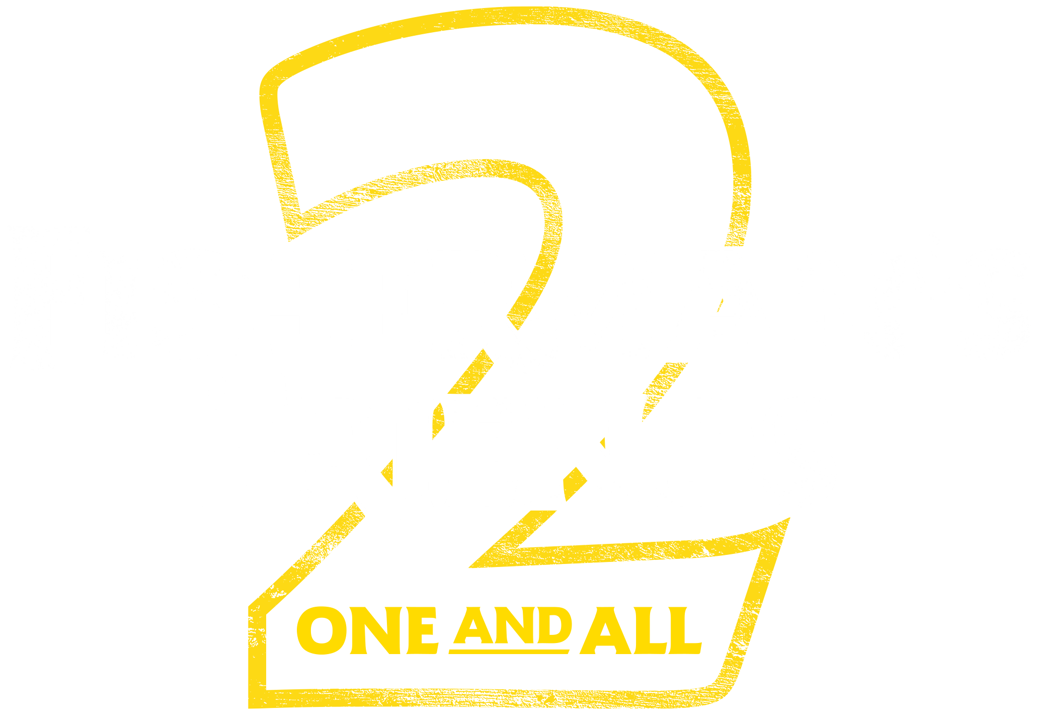 Fisherman's Friends 2: One and All